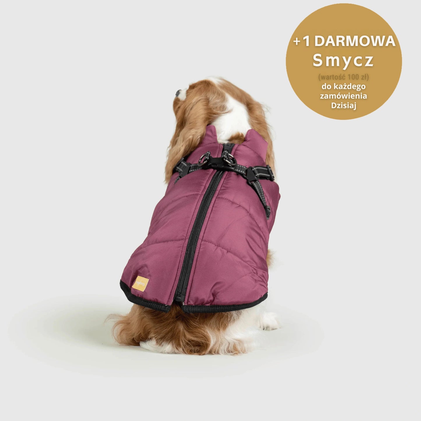 RoyalKings™ ── Kurtka 3 w 1