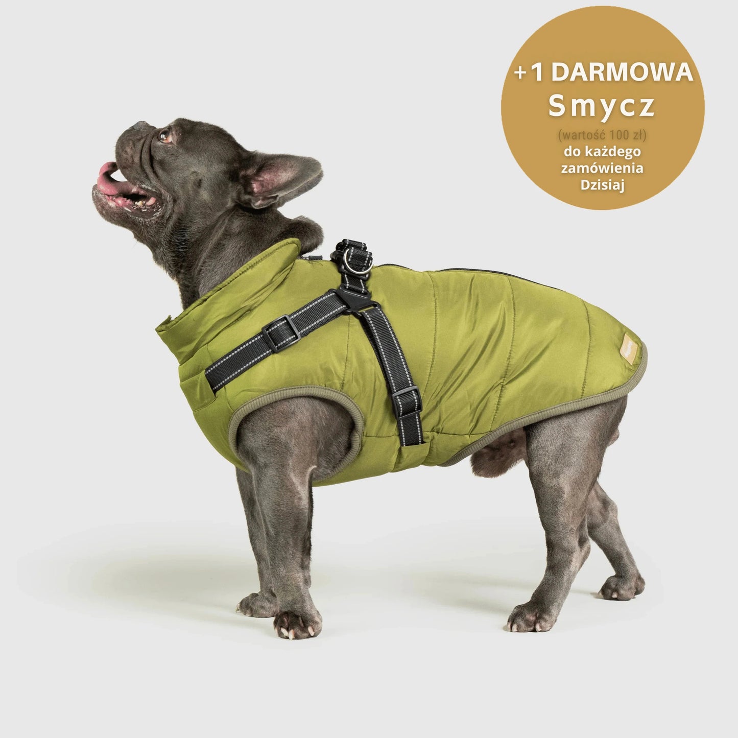 RoyalKings™ ── Kurtka 3 w 1