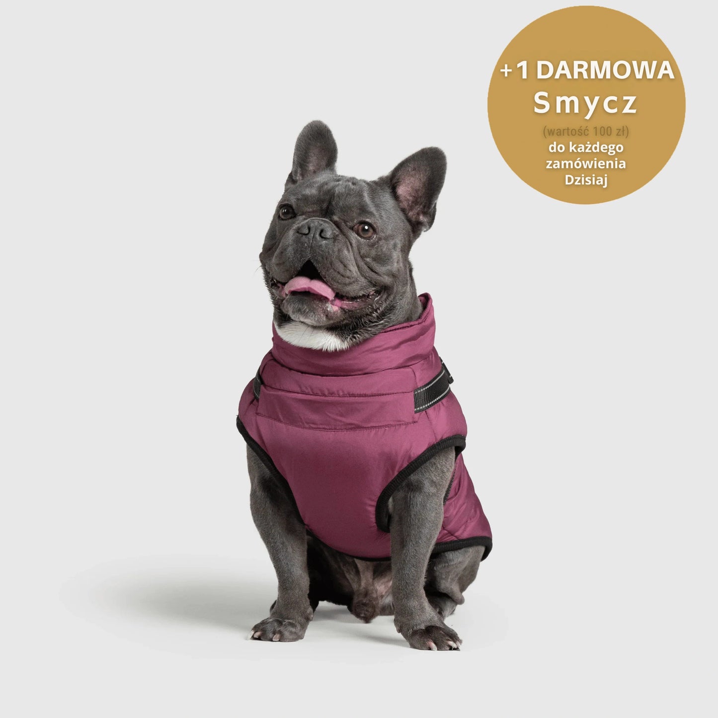 RoyalKings™ ── Kurtka 3 w 1