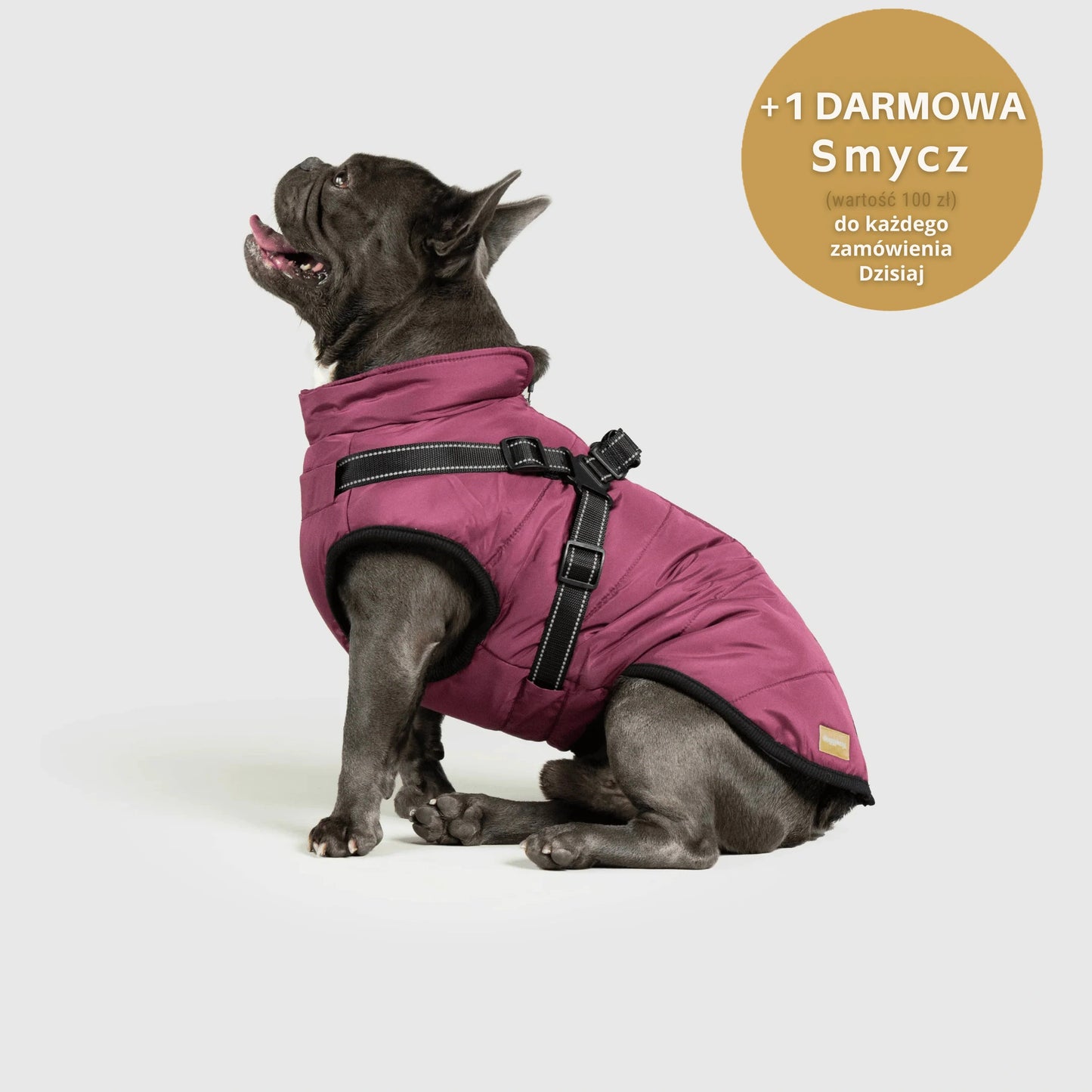 RoyalKings™ ── Kurtka 3 w 1