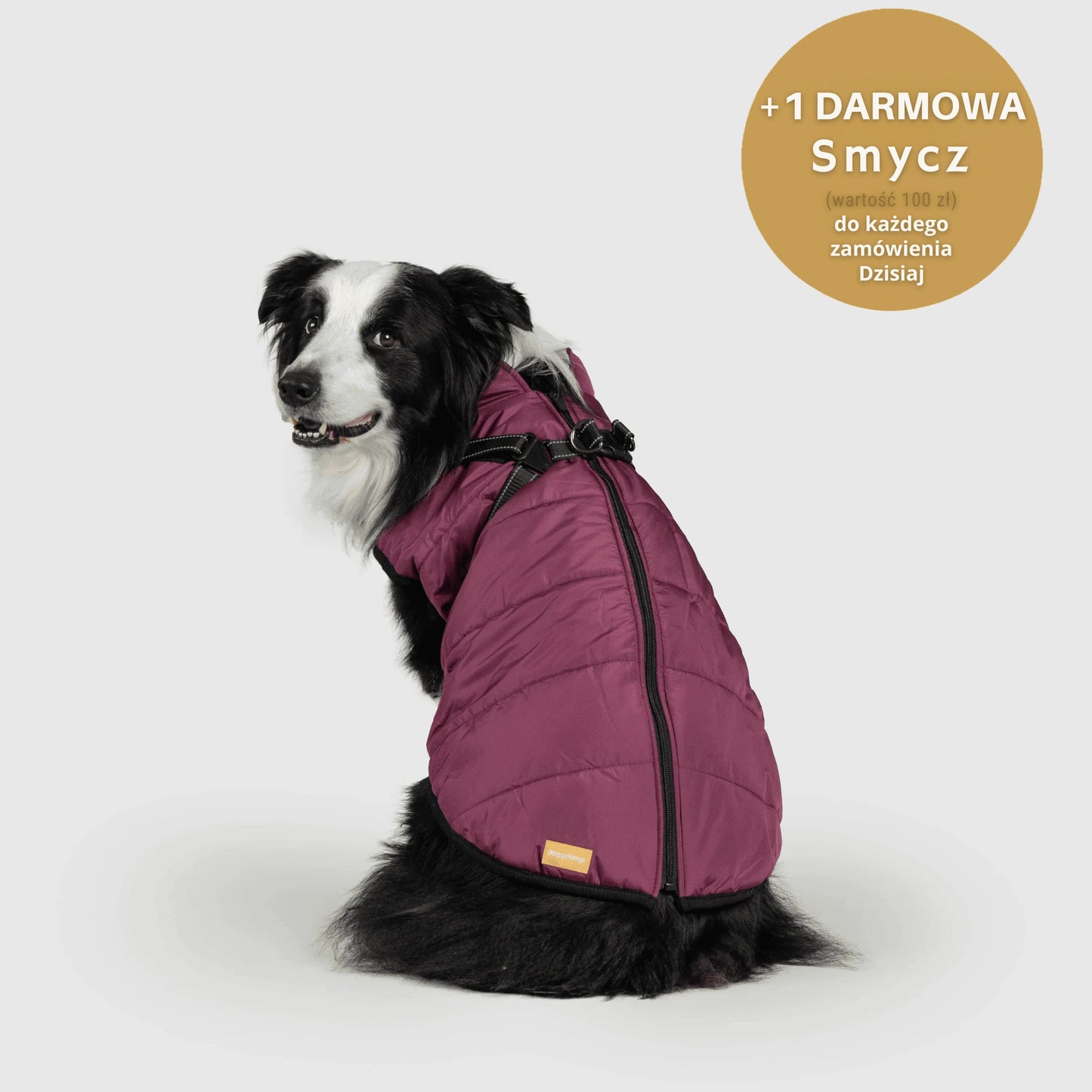 RoyalKings™ ── Kurtka 3 w 1