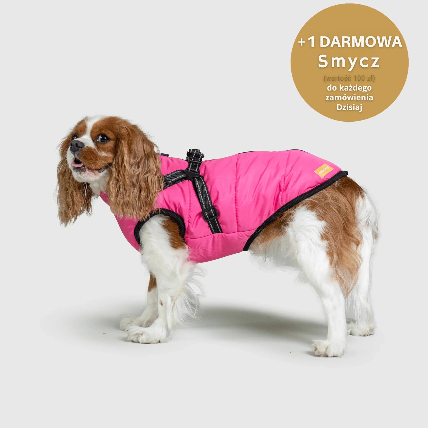 RoyalKings™ ── Kurtka 3 w 1