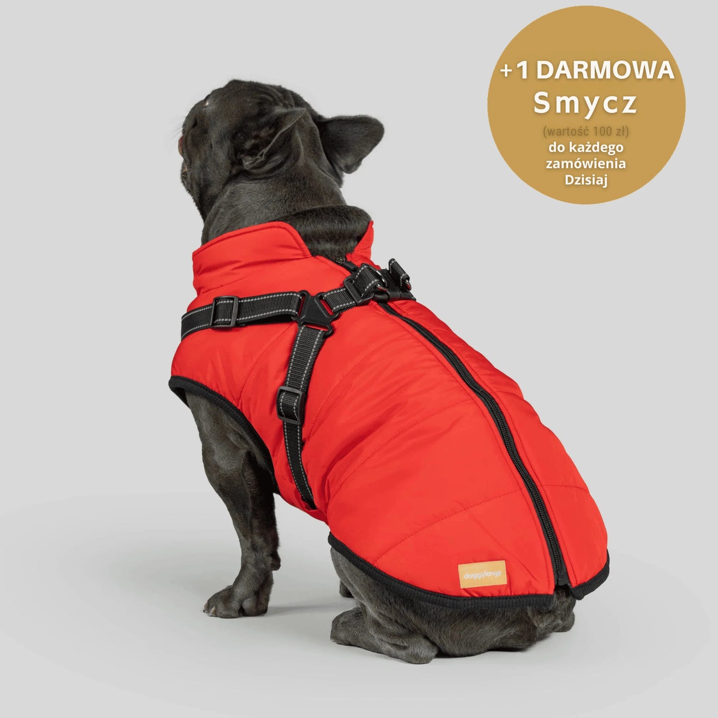 RoyalKings™ ── Kurtka 3 w 1