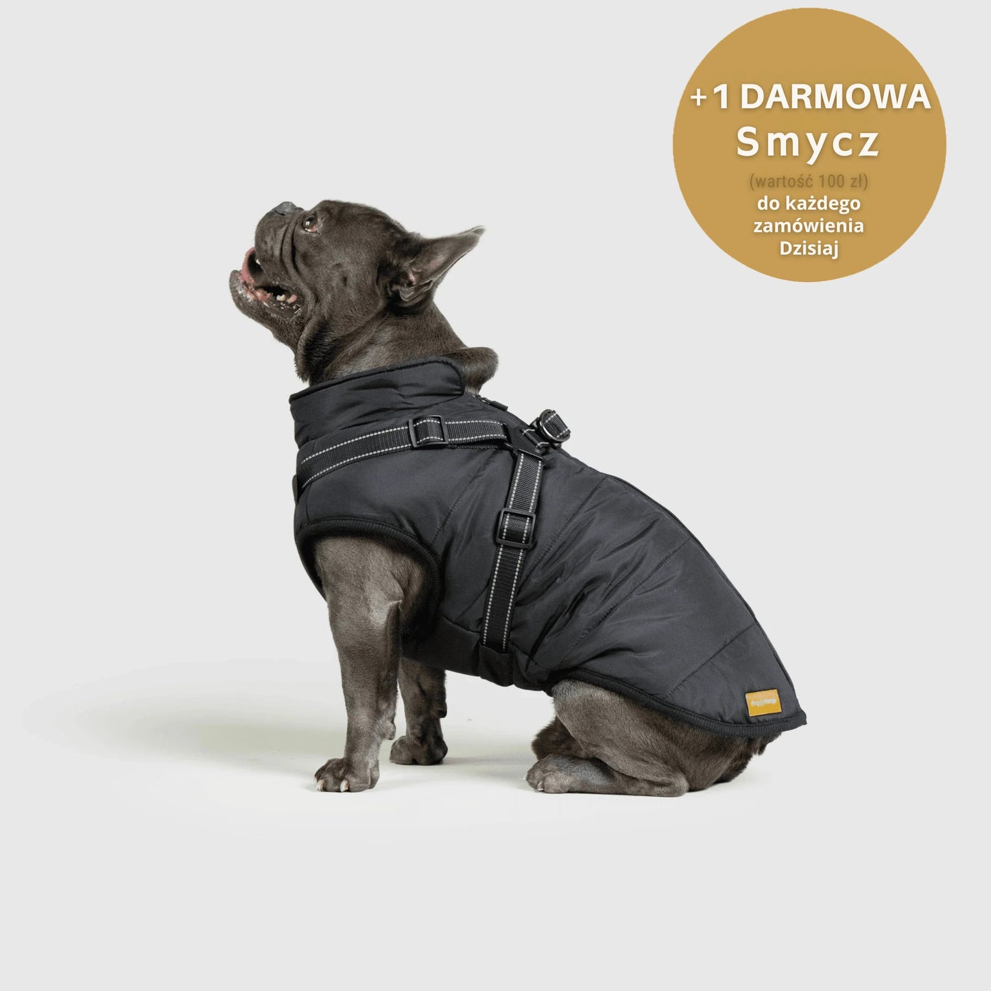 RoyalKings™ ── Kurtka 3 w 1