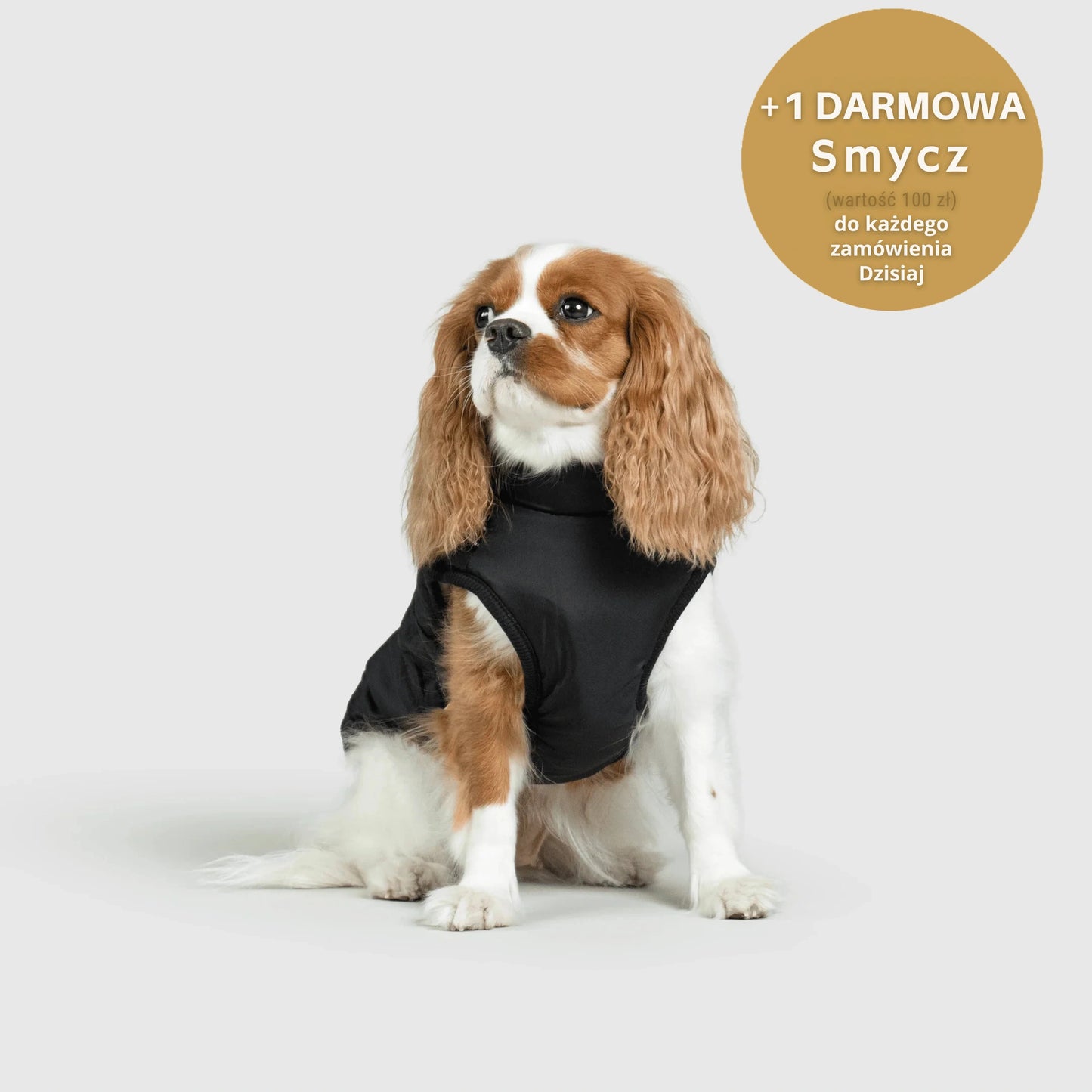 RoyalKings™ ── Kurtka 3 w 1