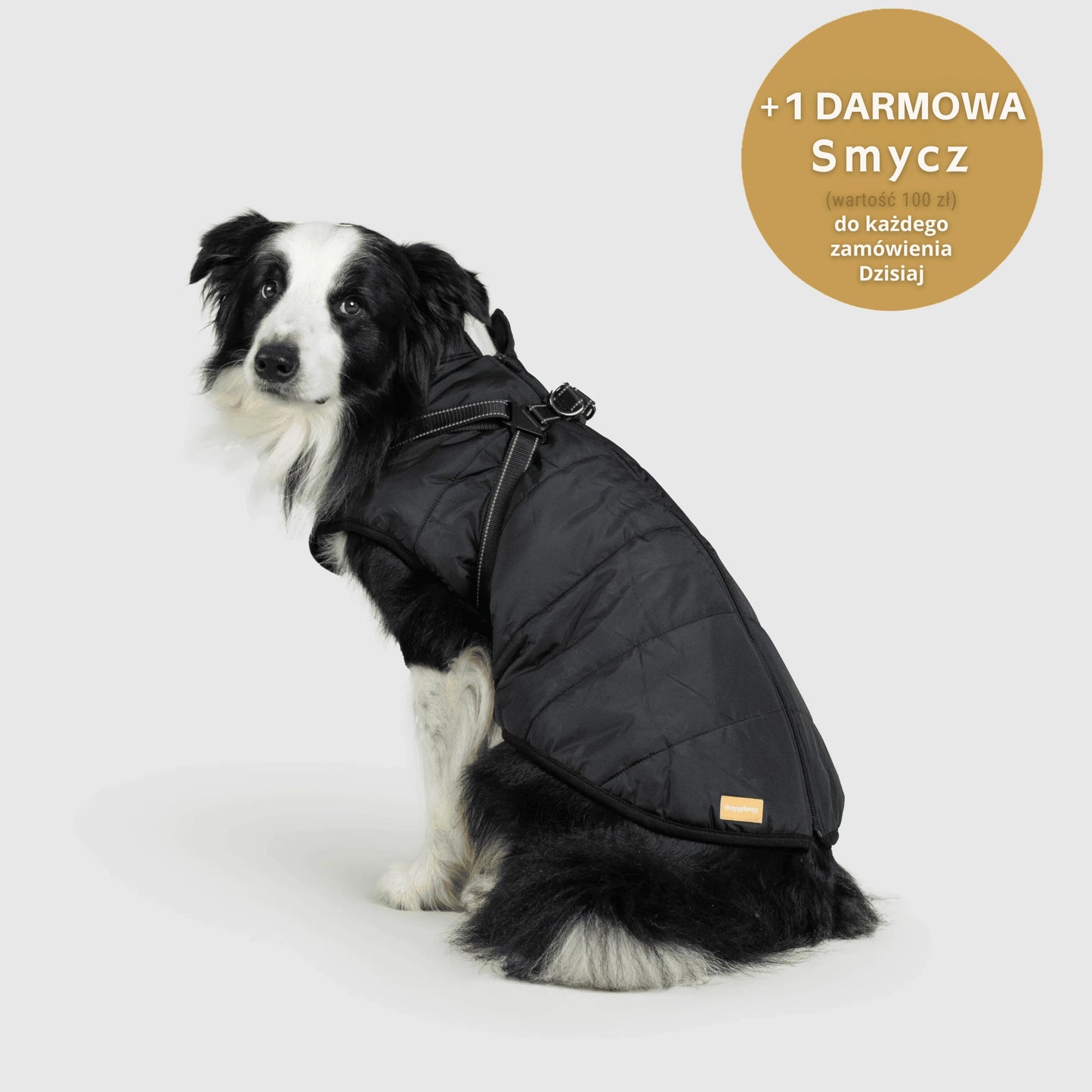 RoyalKings™ ── Kurtka 3 w 1