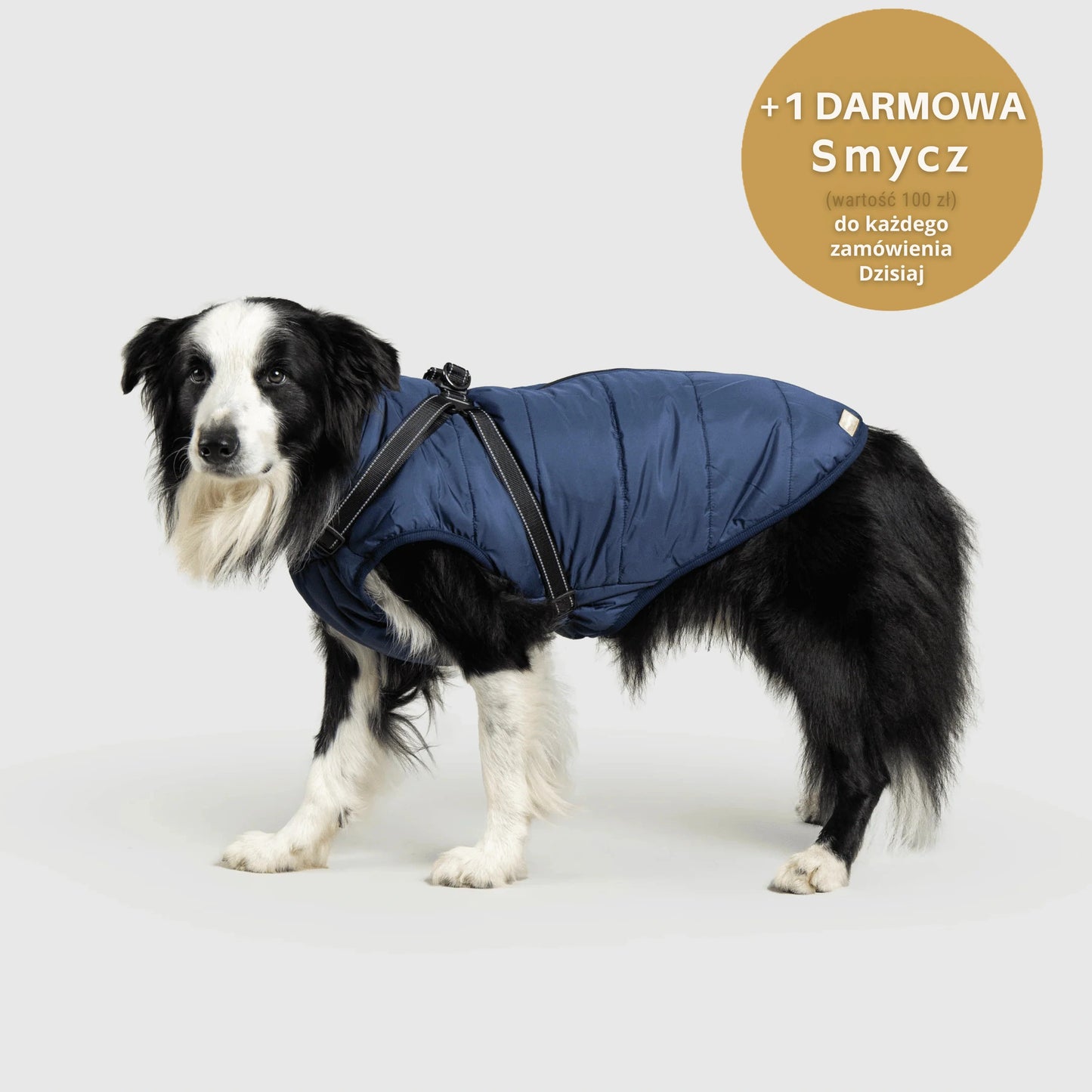 RoyalKings™ ── Kurtka 3 w 1