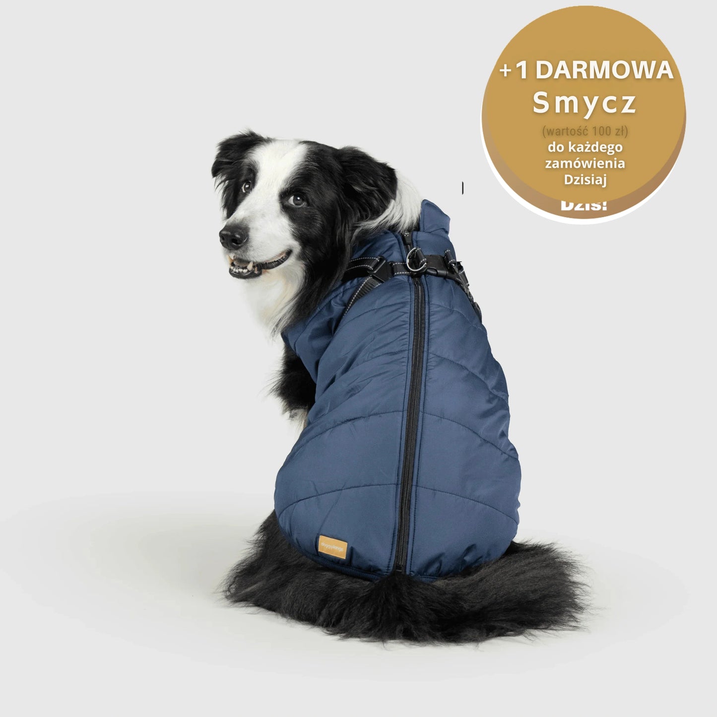 RoyalKings™ ── Kurtka 3 w 1